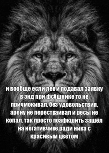 a black and white drawing of a lion with a quote in russian .