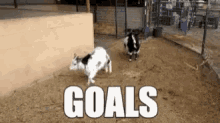 Sheep Goals GIF - Sheep Goals Jump GIFs
