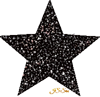 a black and gold star with the name j.s. san below it
