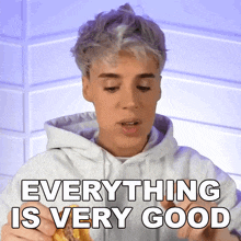 Everything Is Very Good Raphael Gomes GIF - Everything Is Very Good Raphael Gomes Everything Is Fantastic GIFs