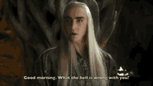 The Hobbit Thranduil GIF - The Hobbit Thranduil Good Morning What The Hell Is Wrong With You GIFs