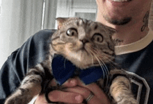 a man is holding a cat in his arms wearing a blue bow tie .