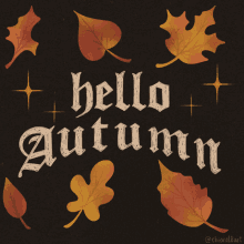 Outono Autunno GIF - Outono Autunno Leaf GIFs