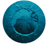 a person 's head is visible through a hole in a circle