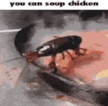 You Can Soup Chicken Lobster GIF - You Can Soup Chicken Soup Lobster GIFs
