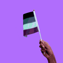 Halive2022 Pride Flags GIF