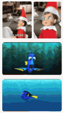 Finding Dory GIF - Finding Dory Elf GIFs