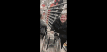 Grocery Shopping Cart GIF - Grocery Shopping Cart Smile GIFs