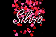 Silvia GIF - Silvia GIFs