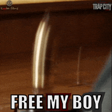 a picture of a judge 's gavel and the words free my boy