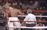Ray Mercer Vs Tommy Morrison Boxing GIF - Ray Mercer Vs Tommy Morrison Boxing Boxing Ray Mercer GIFs