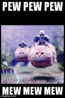 Pew-pew-mew-mew Star Wars Cat GIF - Pew-pew-mew-mew Star Wars Cat Pew-mew GIFs