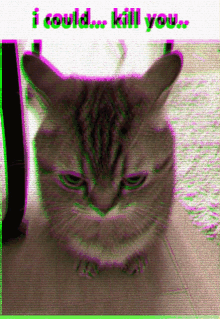 Cat Glitch GIF - Cat Glitch I Could Kill You GIFs
