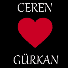 Gürkan Ceren GIF - Gürkan Ceren Love GIFs