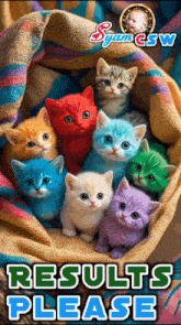 a bunch of colorful kittens are sitting in a basket with the words results please