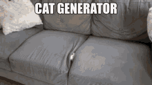 speed caption generator cat funny