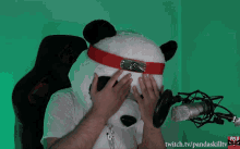 Pandaskill Pandaskilltv GIF - Pandaskill Pandaskilltv Pandaskill Peekabo GIFs