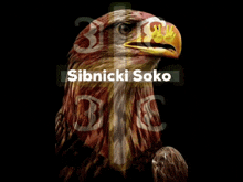 Sibnicki Soko1 GIF - Sibnicki Soko1 GIFs