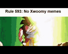 rule rule593 rule xwoomy xwoomy uu