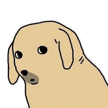 a drawing of a dog with big eyes and a gray nose on a white background .