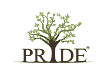 pride pride