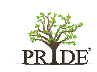 Pride Pride Group Sticker - Pride Pride Group Sudendu Shah Stickers