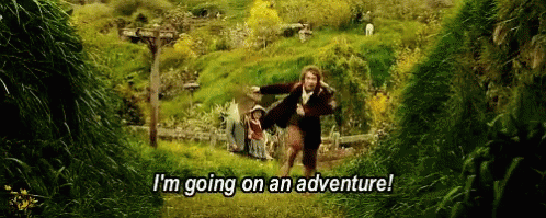 would've, could've, should've Thehobbit-im-going-on-an-adventure