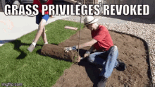Grass Privileges GIF - Grass Privileges Meme GIFs