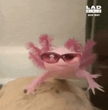 Axolotl Cute GIF - Axolotl Cute Sunglasses GIFs
