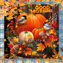 Good Morning Autumn GIF - Good Morning Autumn Fall GIFs