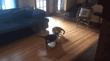 two cats are playing in a living room with a chair and couch