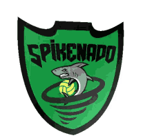 nurderrco spikeball