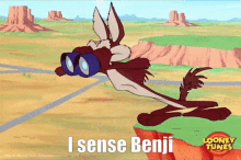 I Sense Benji There GIF - I Sense Benji Benji Sense GIFs