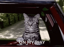 a cat is sitting in the driver 's seat of a car with the words " on my way " below it