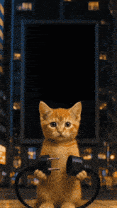 a kitten is holding a plug in its paws in front of a large billboard