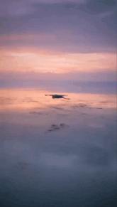 a bird is flying over a body of water with a sunset in the background .