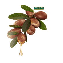 palmolive palmolive naturals ingredient nature drop argan oil