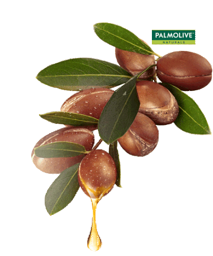 Palmolive Palmolive Naturals Sticker - Palmolive Palmolive Naturals Ingredient Stickers