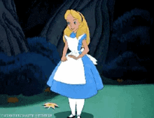 Thank You Alice In Wonderland GIF