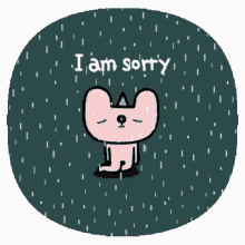 sorry sticker