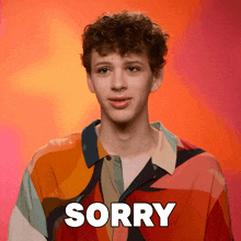a young man in a colorful shirt says " sorry "