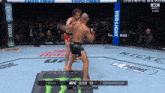two fighters are fighting in a boxing ring with a bud light banner in the background
