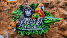Rainforest Cafe GIF - Rainforest Cafe Rainforest Cafe GIFs