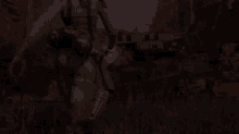 a person is standing in a field with a sword in their back .