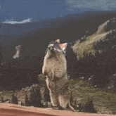 a squirrel standing on its hind legs in front of a mountain range