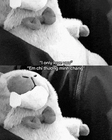 a black and white photo of a stuffed animal with a caption that says " i only love you "