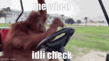Idli Check Idli GIF - Idli Check Idli Monkey GIFs