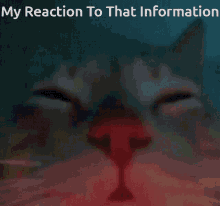 reaction cat