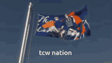 the tcw