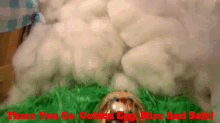 Sml Easter Bunny GIF - Sml Easter Bunny There You Go Golden Egg GIFs